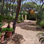 Nyaraló Giancarla - 250 Metri Dal Mare *