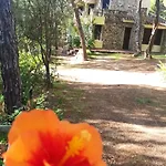 Giancarla - 250 Metri Dal Mare Nyaraló Santa Margherita di Pula